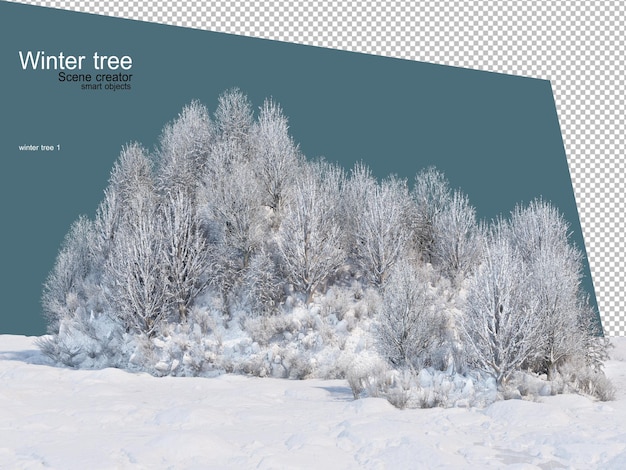 Various winter trees design isolated