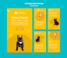 PSD gratuito storie di instagram veterinarie