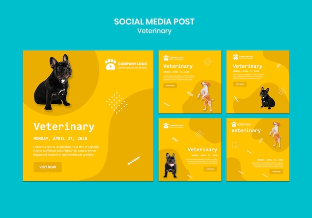 Free PSD veterinary social media posts