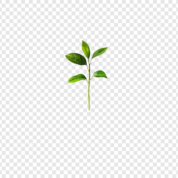 Free PSD vibrant green plant sprout a closeup view of new life