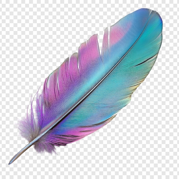 Vibrant iridescent feather a single colorful plume against a transparent background A stunning display of natures artistry