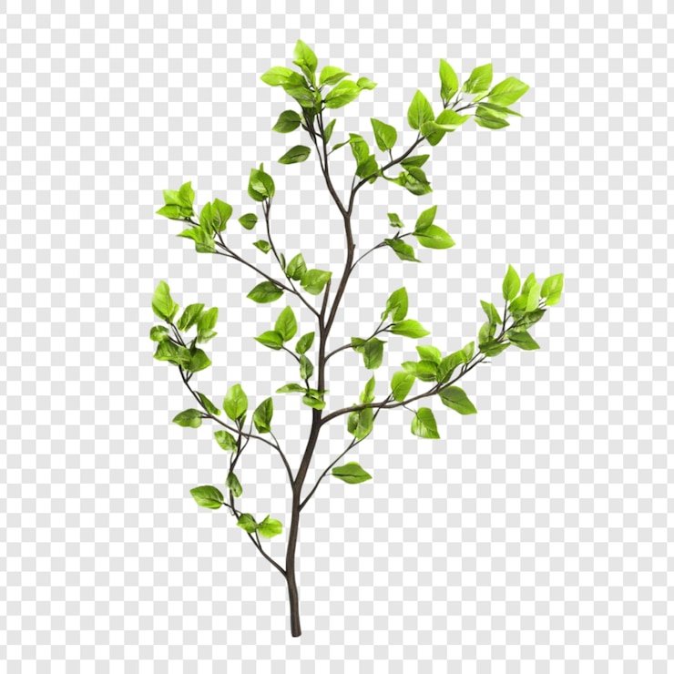 Free PSD vibrant spring branch a fresh green sprig of life