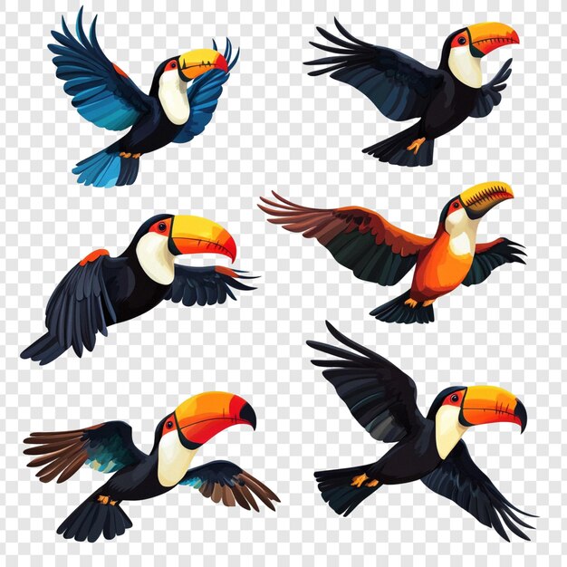 熱帯 の 鳥 の 絵画 の 集合