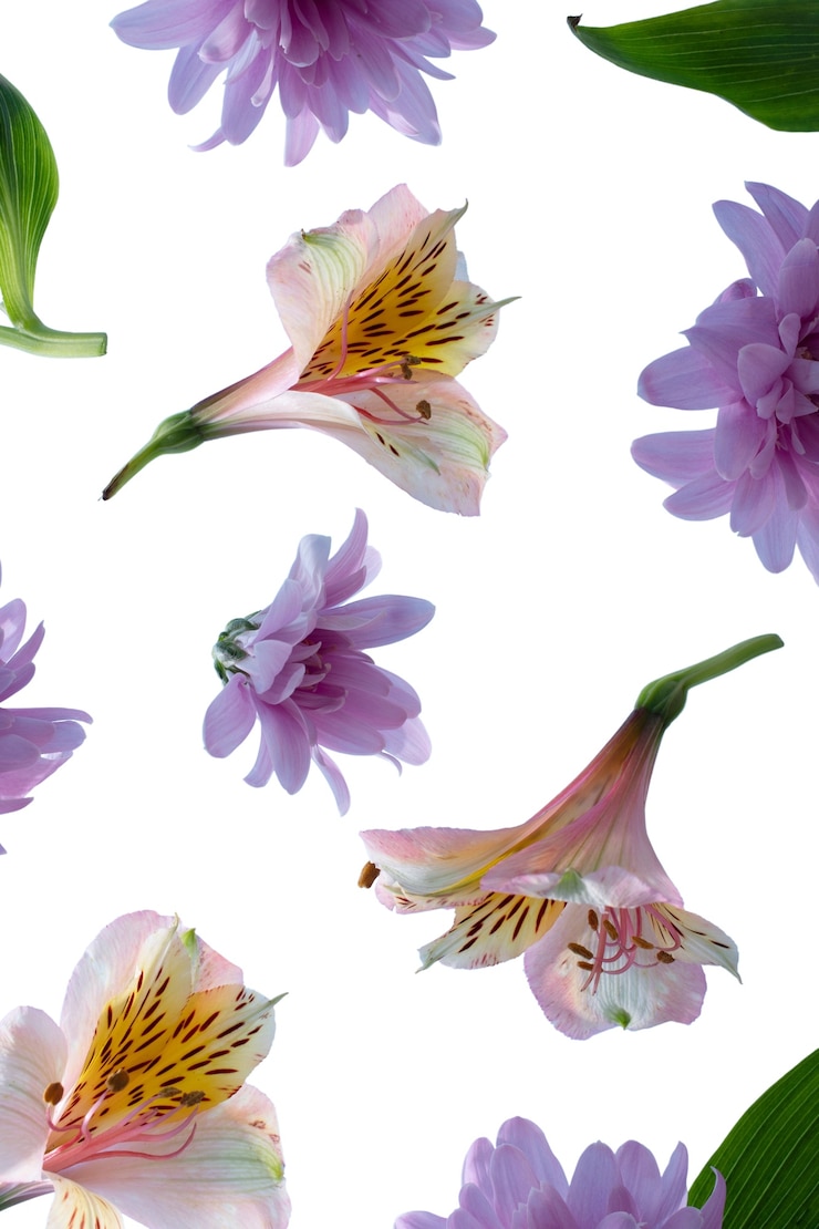 無料PSD 美しい咲くユリの花の眺め