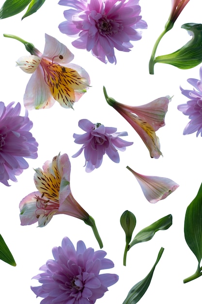 美しい咲くユリの花の眺め