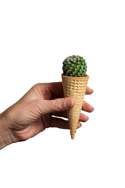 PSD gratuito vista di una pianta di cactus in un cono di gelato