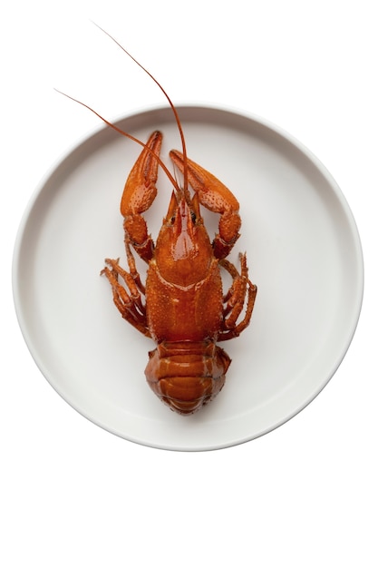 Free PSD view of cooked crawfish on plate