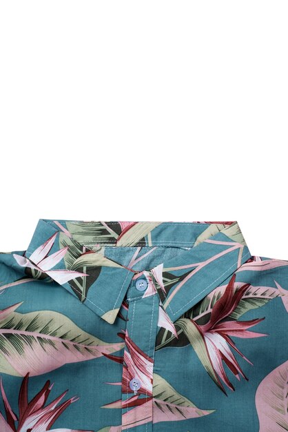 View of hawaiian shirt with pattern