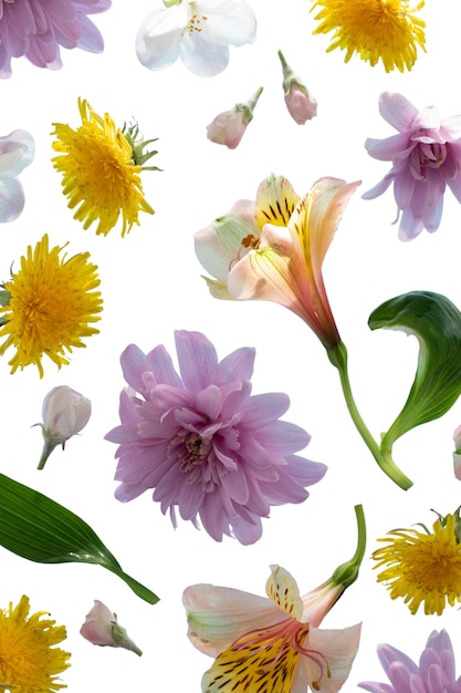 Бесплатный PSD Вид на красивый цветущий цветок лилии