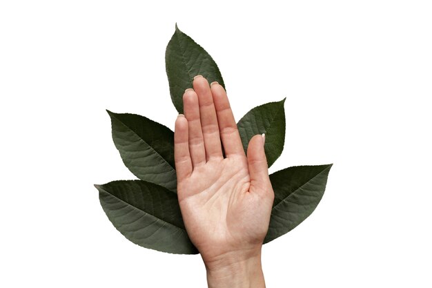 View of sustainable hands with nature