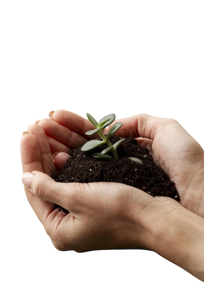 View of sustainable hands with nature