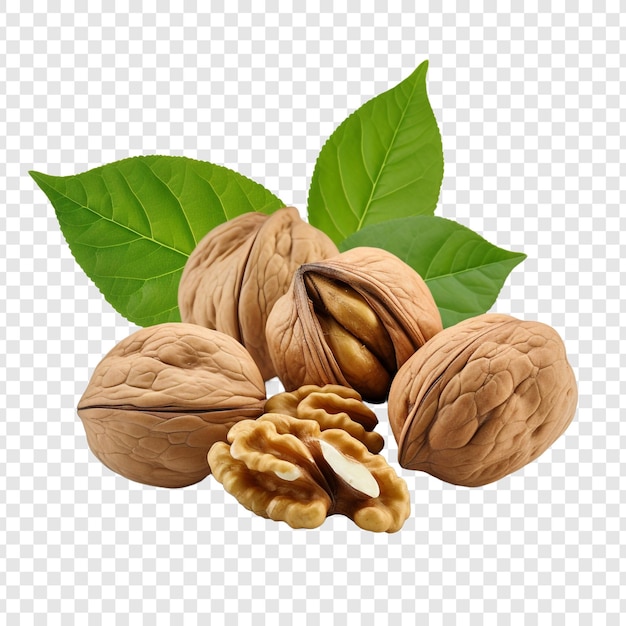 Free PSD walnuts isolated on transparent background