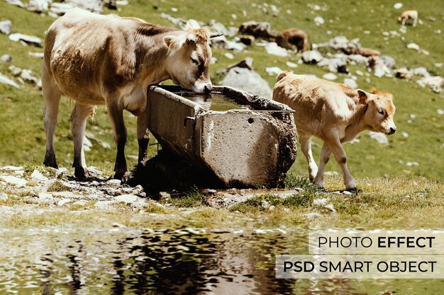 Фотоэффект отражения воды