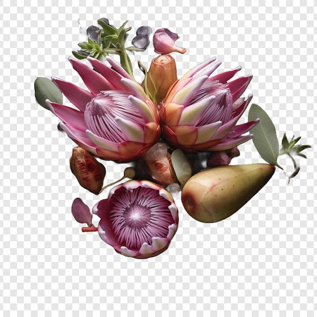 Free PSD waterblommetjie bredie isolated on transparent background