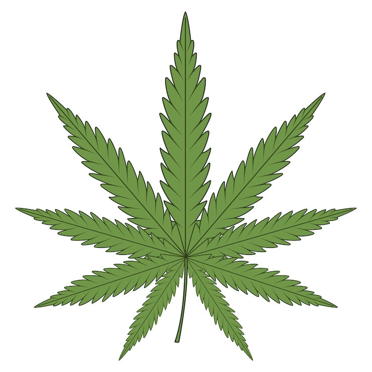 Free PSD weed plant illustration isolated