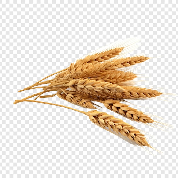 無料PSD 透明な背景に分離された小麦