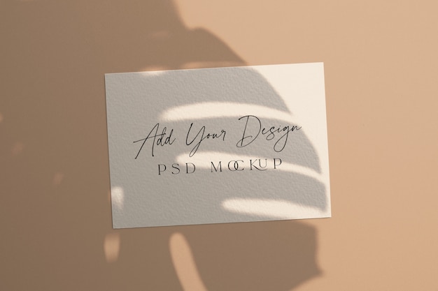 Free PSD white card mockup shadow overlay monstera leaves