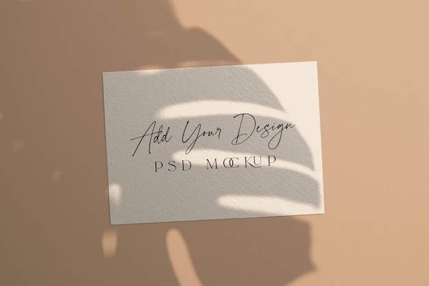 White card mockup shadow overlay monstera leaves