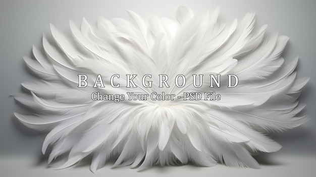 Free PSD white feathers on a white background
