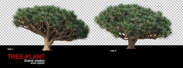 A wide variety of trees and shrubs Premium Psd
