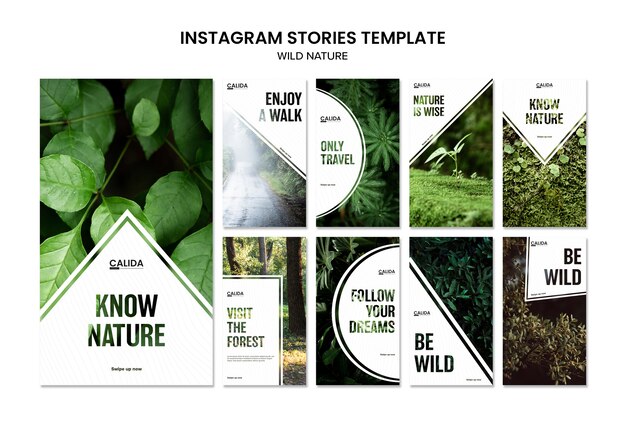 Шаблон истории дикой природы квадратный Instagram