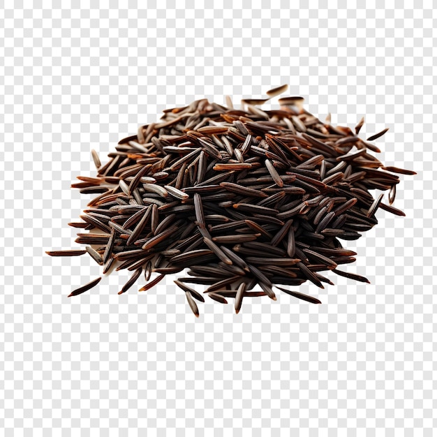 Free PSD wild rice isolated on transparent background