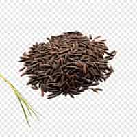 Free PSD wild rice isolated on transparent background