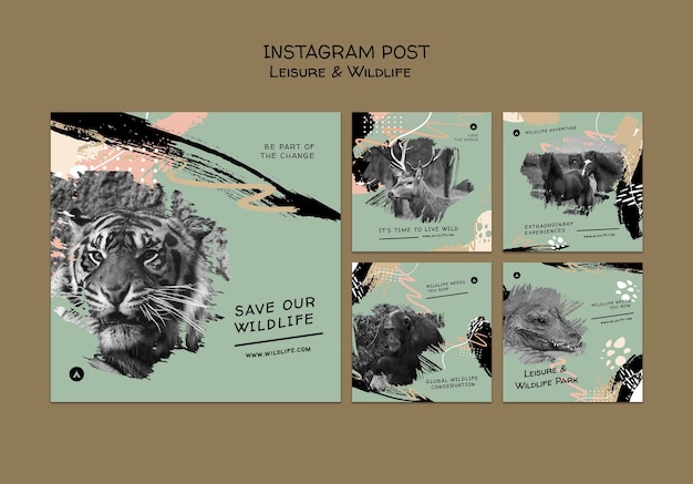 Free PSD wildlife preservation and protection instagram posts collection with abstract brush strokes