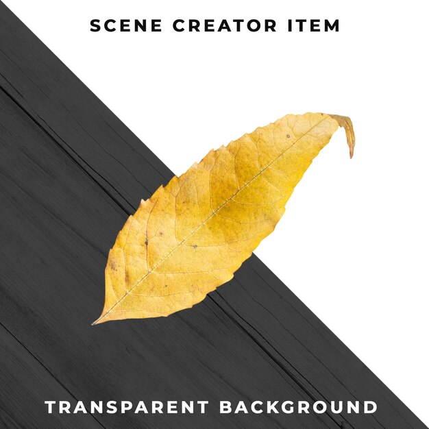 Wood leaf transparent PSD