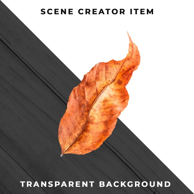 Wood leaf transparent PSD