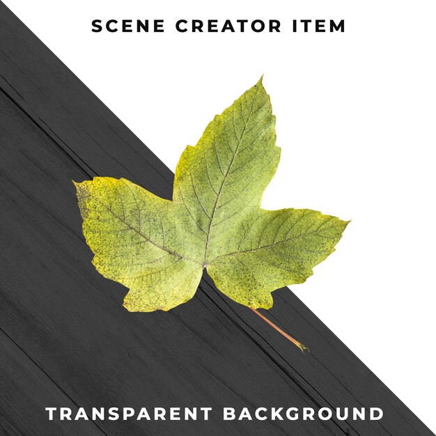 wood leaf transparent psd
