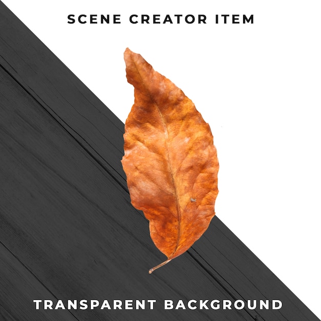 Wood leaf transparent PSD