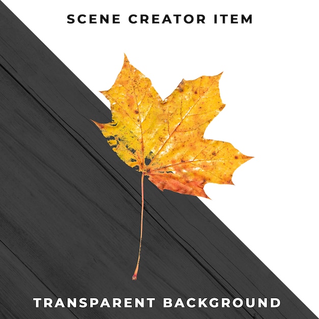 Wood leaf transparent PSD