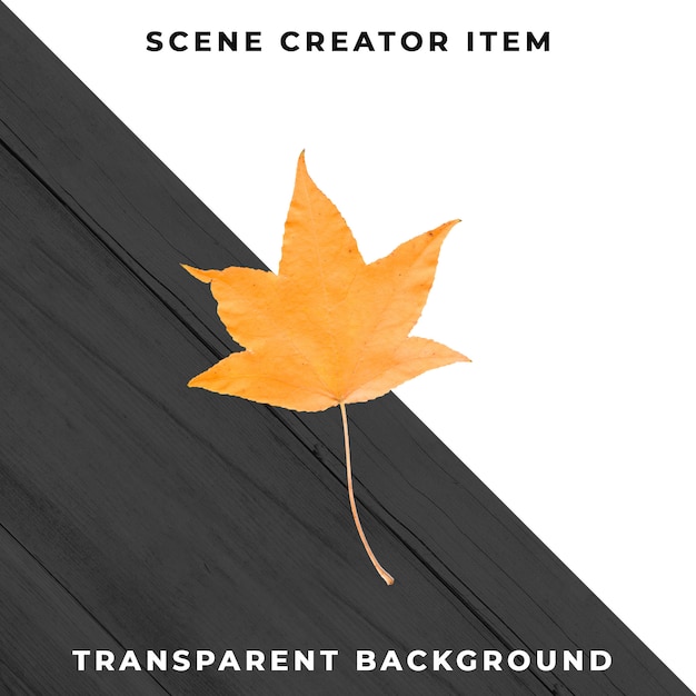 Wood leaf transparent PSD