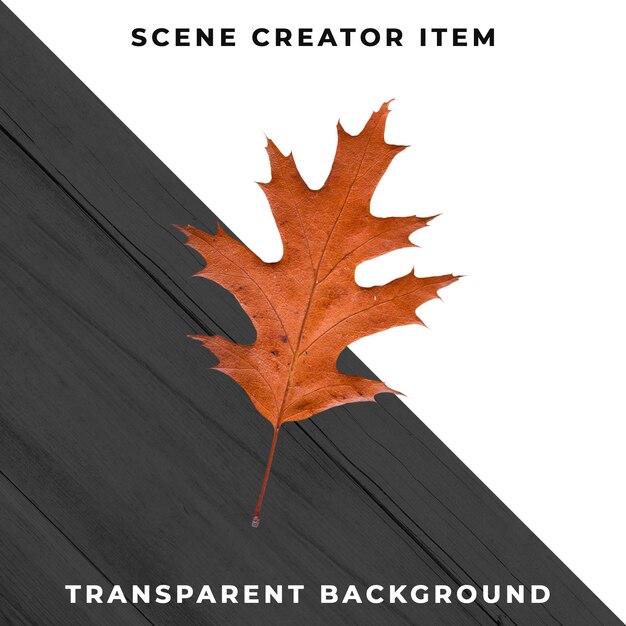 Wood leaf transparent PSD