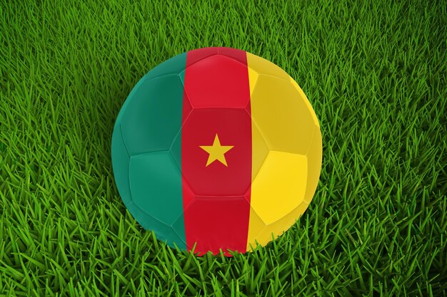 World Cup Football With Cameroon Flag