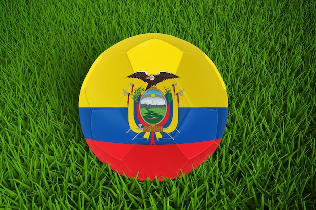 エクアドルの国旗とワールド カップ サッカー