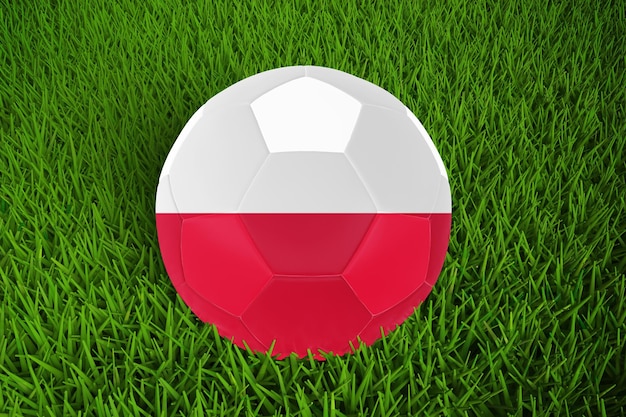 폴란드 국기와 함께 월드컵 축구
