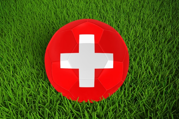 스위스 국기와 함께 월드컵 축구