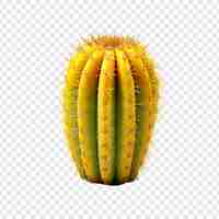 Free PSD a yellow cactus isolated on transparent background