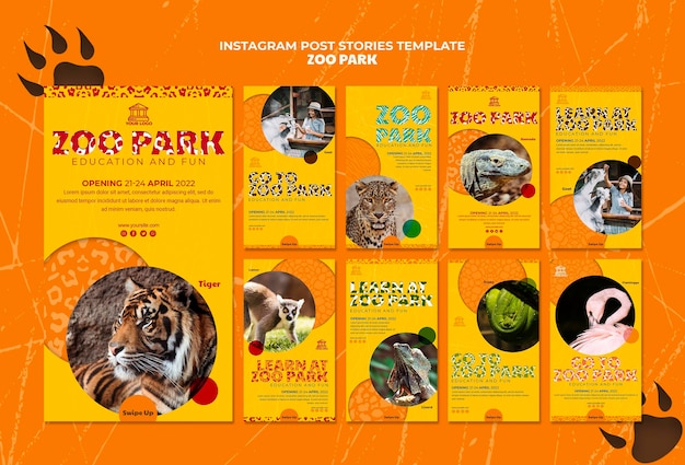 Zoo park social media stories template