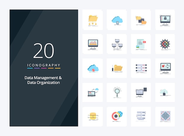 20 Data Management And Data Organization Flat Color icon for presentation Vector icons illustration