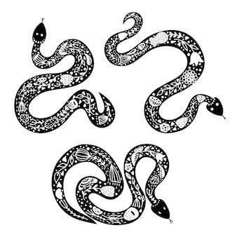 あなたのためのイラスト 新鮮なリアル 蛇 イラスト 白黒 あなたのためのイラスト 新鮮なリアル 蛇 イラスト 白黒