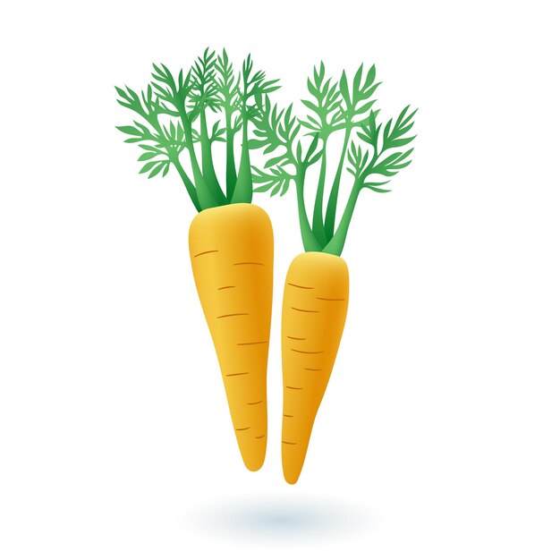 3D значок моркови в мультяшном стиле на белом фоне. Свежие органические овощи с листьями плоские векторные иллюстрации. Сельское хозяйство, урожай, здоровый образ жизни или концепция питания