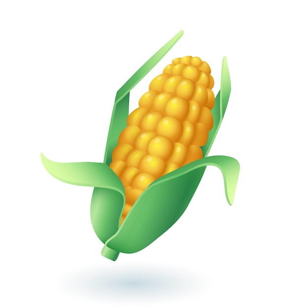 Free vector 3d cartoon style corn cob icon on white background. ear of corn, healthy food flat vector illustration. agriculture, farming, organic food, harvest, nature concept