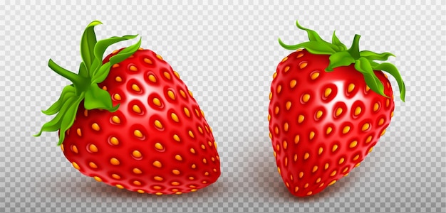 Free vector 3d fly realistic isolated strawberry fruit icon set on transparent background red fresh berry element summer graphic seed and stem on whole delicious product clipart organic health collection