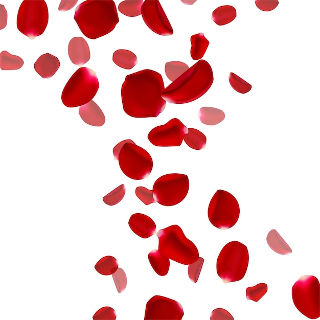 Falling Red Rose Petals Isolated On White Background. Vector Illustration  EPS10 Royalty Free SVG, Cliparts, Vectors, and Stock Illustration. Image  115254287.