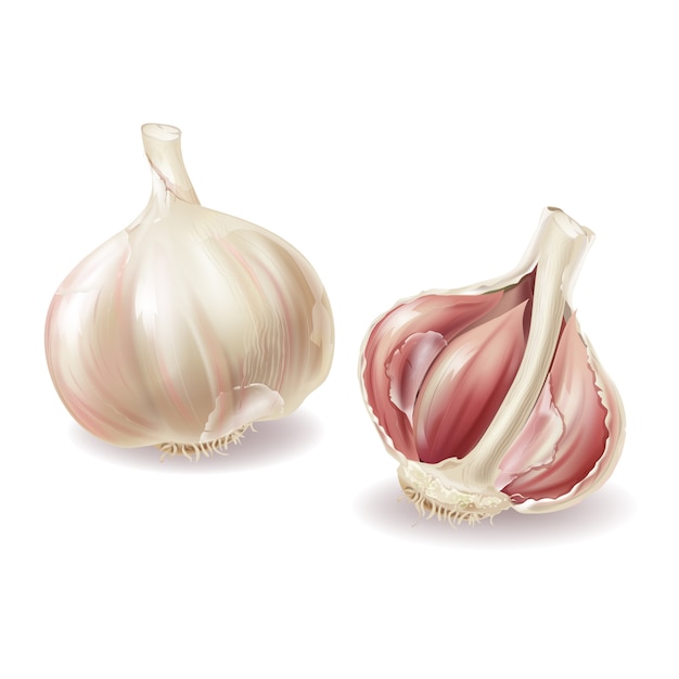 Testa di aglio realistico 3d - interi chiodi di garofano di verdure e aglio, lobuli in guscio, peeling.