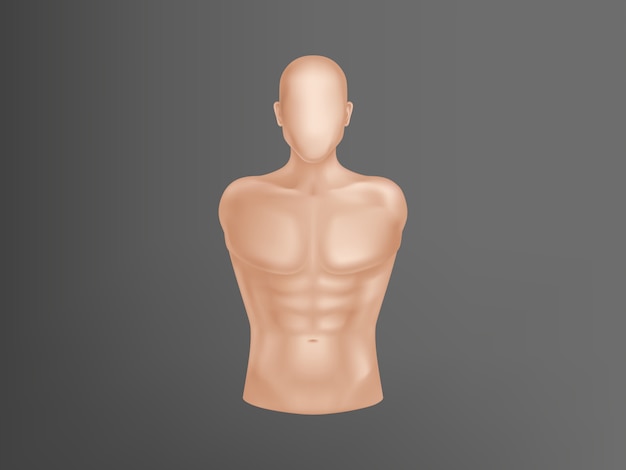 Vettore gratuito corpo umano realistico 3d. torso uomo con muscoli, attrezzatura da atleta per allenamento.