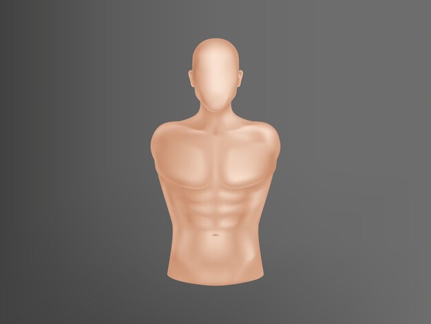 3d realistic human body. Man torso with muscles, athlete equipment for training. 